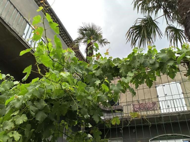 פריווה La Maison Jaffran, Suite En Ville מראה חיצוני תמונה